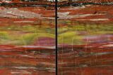 Tall, Arizona Petrified Wood Bookends - Red, Yellow & Purple #166086-1